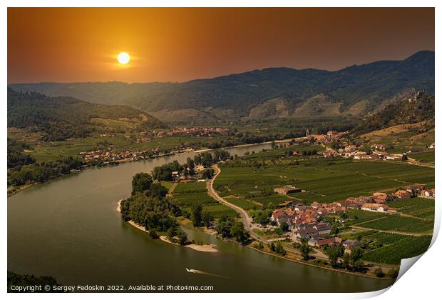 Wachau valley with Danube river and vineyards. Lower Austria. Print by Sergey Fedoskin