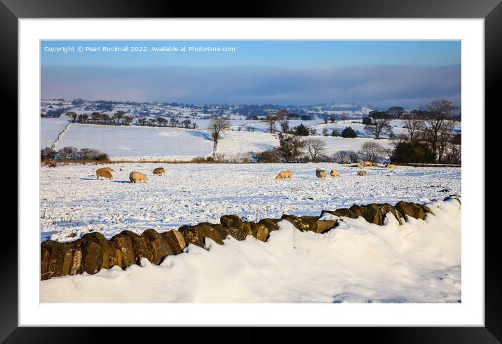 Peak District Sheep in Snowy Landscape Framed Mounted Print by Pearl Bucknall