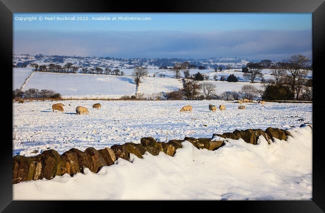 Peak District Sheep in Snowy Landscape Framed Print by Pearl Bucknall