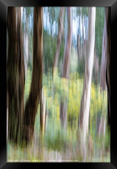 Impressionist View of Australia Framed Print by Shaun Sharp