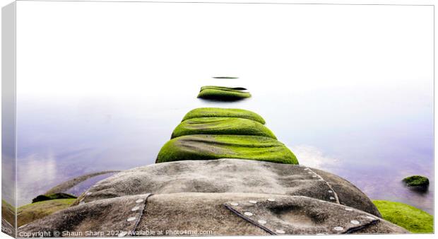 Seagrass Steps to Infinity Canvas Print by Shaun Sharp