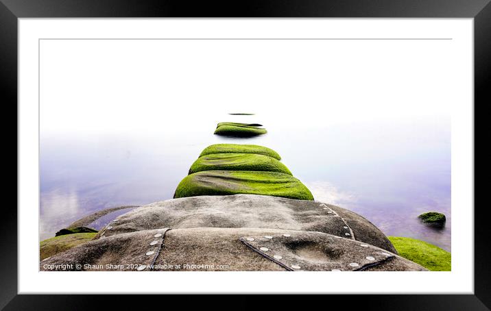 Seagrass Steps to Infinity Framed Mounted Print by Shaun Sharp