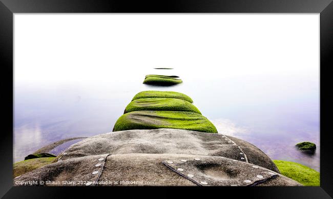 Seagrass Steps to Infinity Framed Print by Shaun Sharp