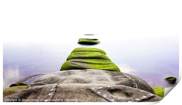 Seagrass Steps to Infinity Print by Shaun Sharp