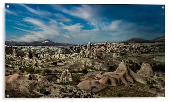 CAPPADOCIA - TURKEY Acrylic by Tony Sharp LRPS CPAGB