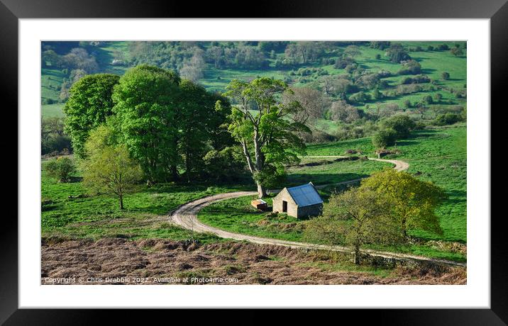 Dudwood farm lane at first light Framed Mounted Print by Chris Drabble