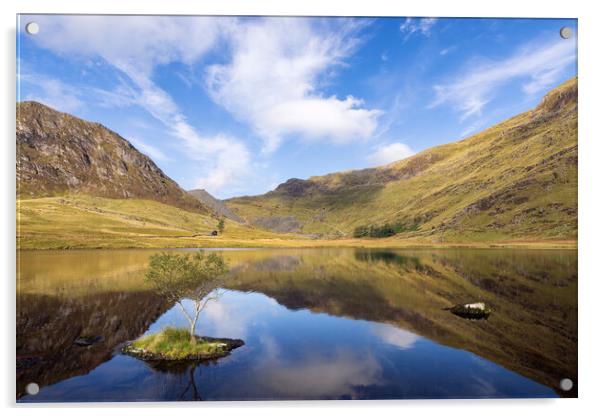 Llyn Cwmorthin Acrylic by Rory Trappe