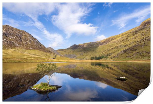 Llyn Cwmorthin Print by Rory Trappe