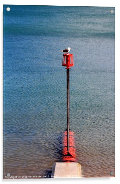Coastal Sentinel Acrylic by Stephen Hamer