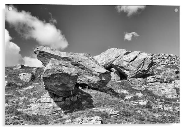 Norber Erratic in mono Acrylic by Mark Godden