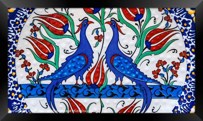 Ancient Arab Peacock Bird Designs Pottery Jordan Framed Print by William Perry