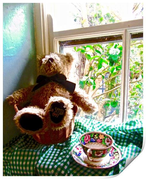 Another Bear in a window Print by Stephanie Moore