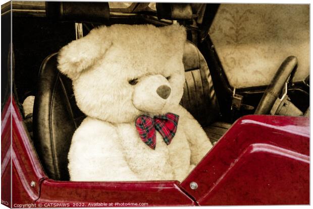 TEDDY GOES FOR A DRIVE Canvas Print by CATSPAWS 