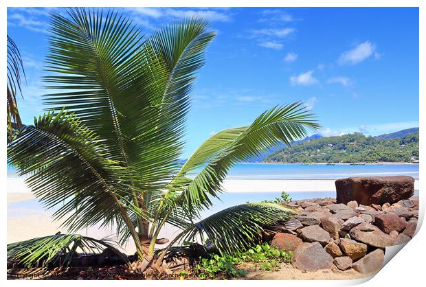 Sunny day beach view on the paradise islands Seychelles Print by Michael Piepgras