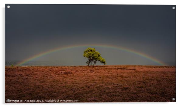 Rainbow Over The Egton Lonley Tree Acrylic by Inca Kala