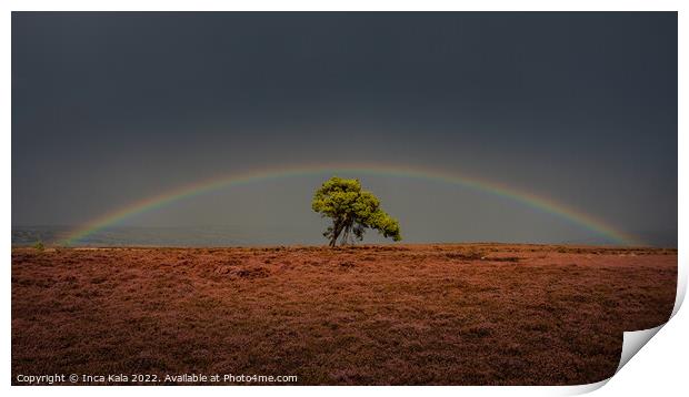 Rainbow Over The Egton Lonley Tree Print by Inca Kala
