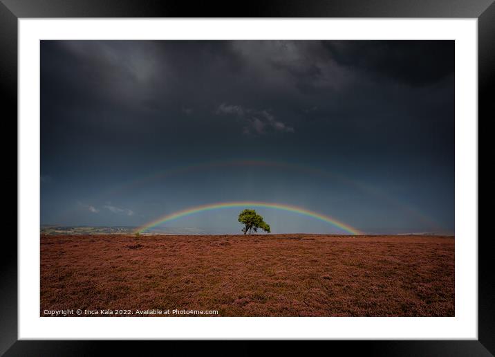 Double Rainbow Over The Lonely Tree On Egton Moor Framed Mounted Print by Inca Kala