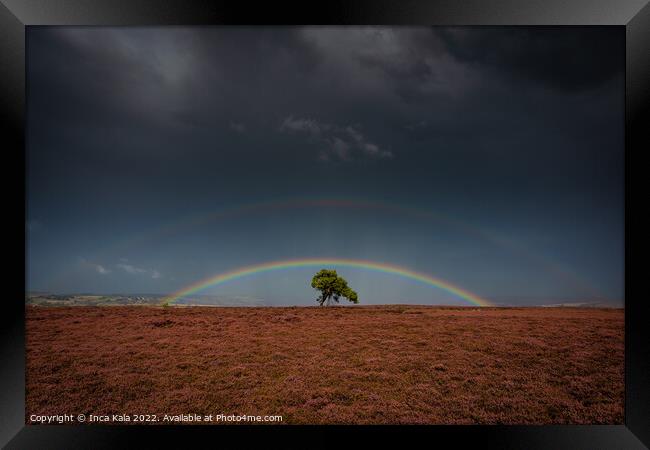Double Rainbow Over The Lonely Tree On Egton Moor Framed Print by Inca Kala