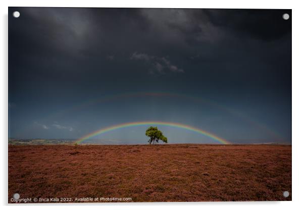 Double Rainbow Over The Lonely Tree On Egton Moor Acrylic by Inca Kala