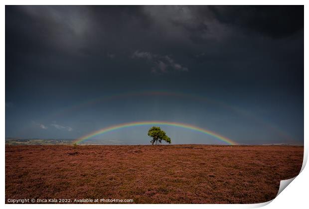 Double Rainbow Over The Lonely Tree On Egton Moor Print by Inca Kala