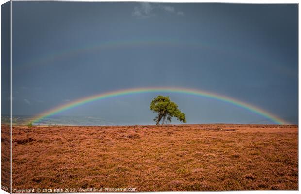 Double Rainbow Over A Solitary Tree On The North Yorkshire Moors Canvas Print by Inca Kala