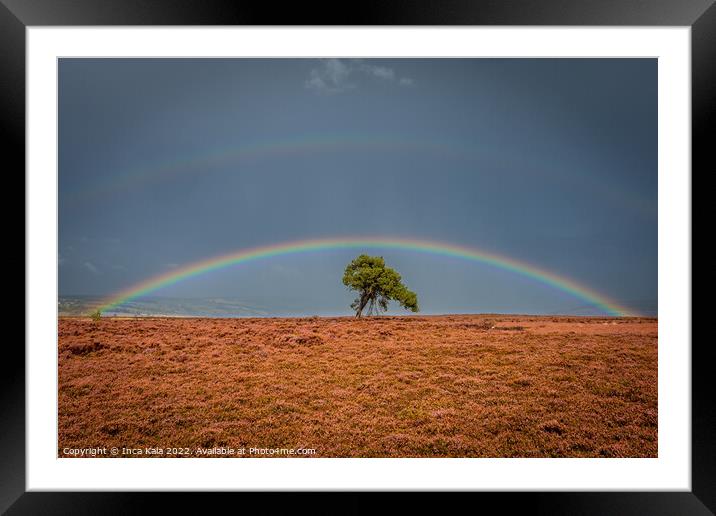 Double Rainbow Over A Solitary Tree On The North Yorkshire Moors Framed Mounted Print by Inca Kala