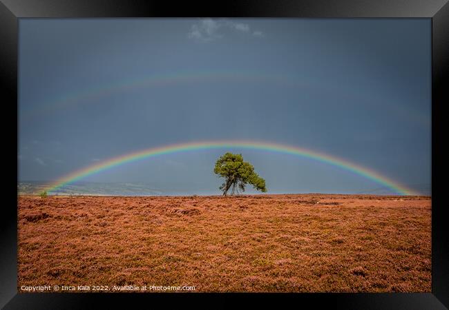 Double Rainbow Over A Solitary Tree On The North Yorkshire Moors Framed Print by Inca Kala