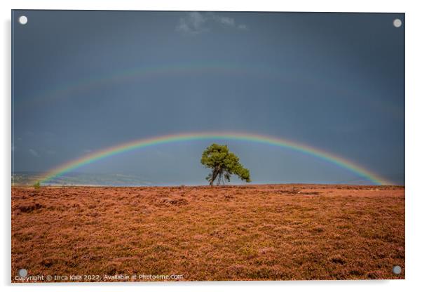 Double Rainbow Over A Solitary Tree On The North Yorkshire Moors Acrylic by Inca Kala