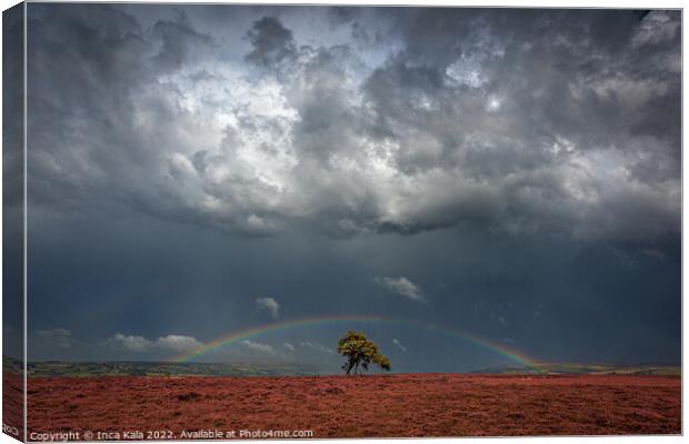 Rainbow And Stom Clouds Over The Lonely Tree Canvas Print by Inca Kala