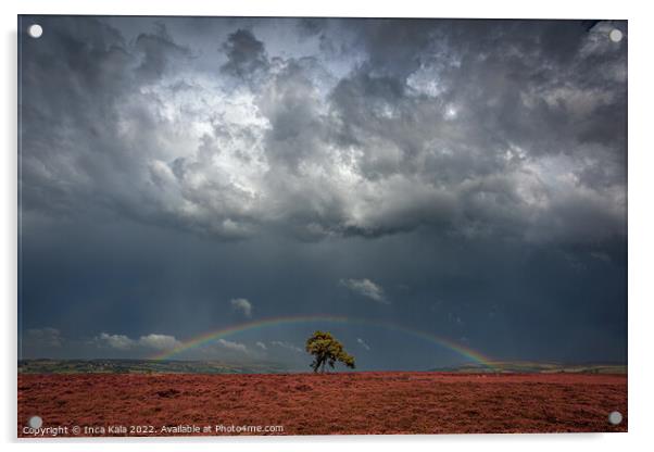 Rainbow And Stom Clouds Over The Lonely Tree Acrylic by Inca Kala
