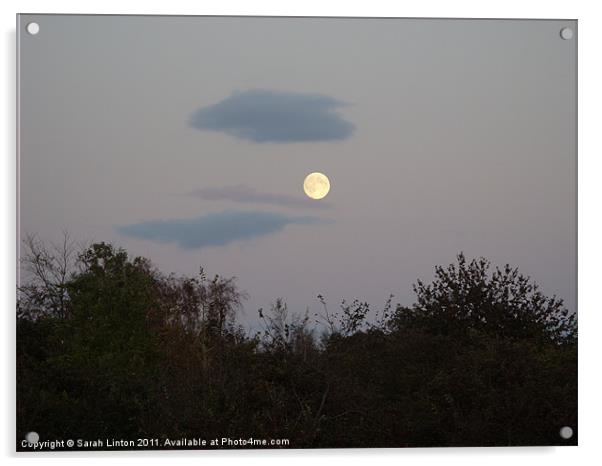 Full Moon over Lomma Acrylic by Sarah Osterman