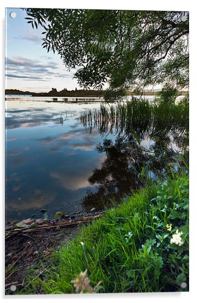 Reflecting over Lake of Menteith Acrylic by Stephen Mole