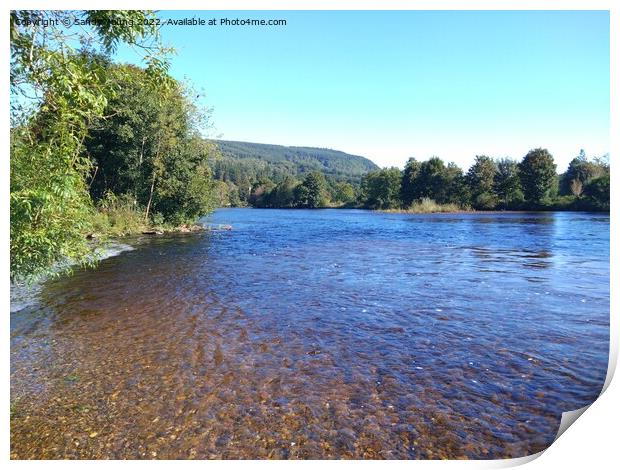 River Tay in sunshine Print by Sandy Young
