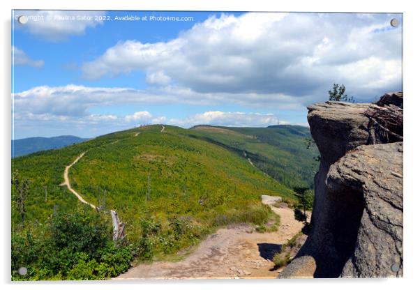 Malinowska Rock peak, Poland Acrylic by Paulina Sator