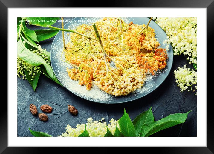 Fried elderflower,seasonal food Framed Mounted Print by Mykola Lunov Mykola
