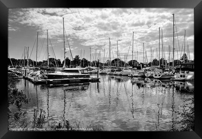 Chichester Marina West Sussex  Monochrome Framed Print by Diana Mower