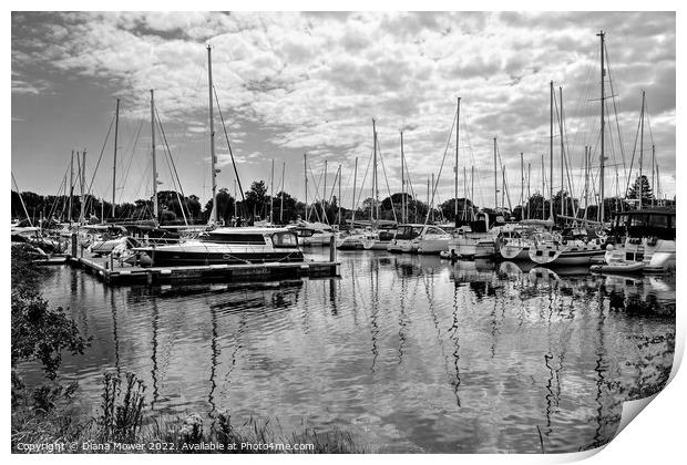 Chichester Marina West Sussex  Monochrome Print by Diana Mower