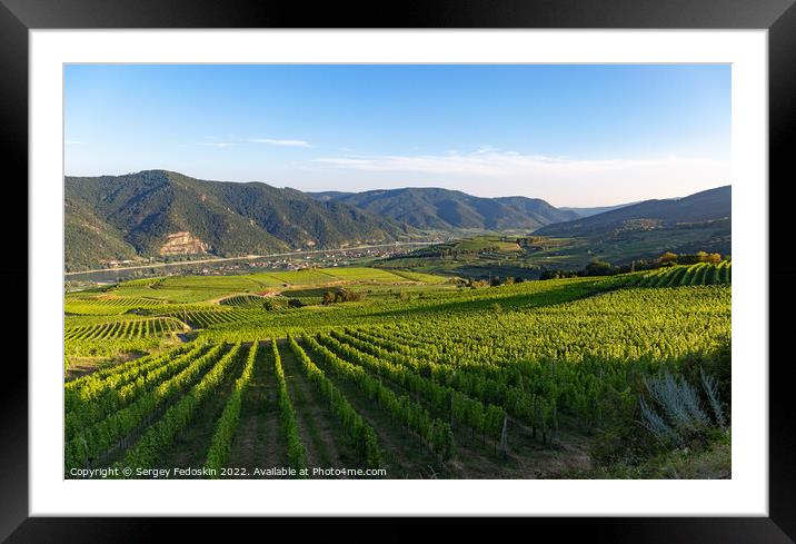 Picturesque landscape with vineyards in Wachau valley. Krems region. Lower Austria Framed Mounted Print by Sergey Fedoskin