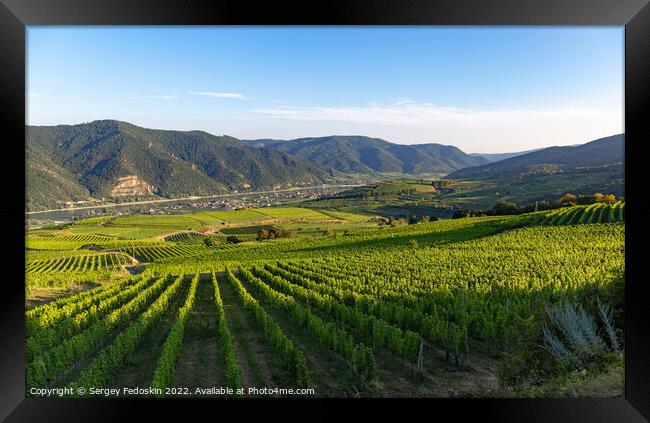 Picturesque landscape with vineyards in Wachau valley. Krems region. Lower Austria Framed Print by Sergey Fedoskin