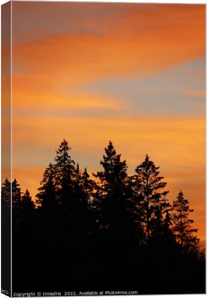 Sunset over the Forest, Sweden Canvas Print by Imladris 