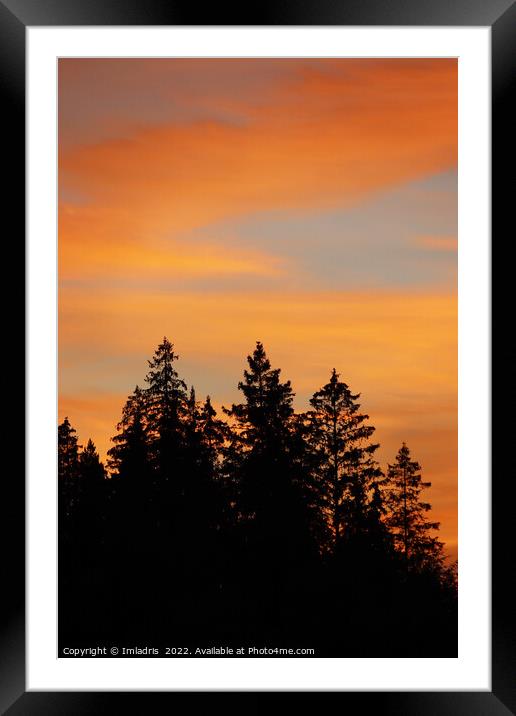 Sunset over the Forest, Sweden Framed Mounted Print by Imladris 
