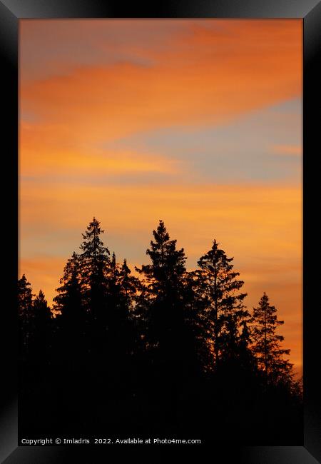 Sunset over the Forest, Sweden Framed Print by Imladris 