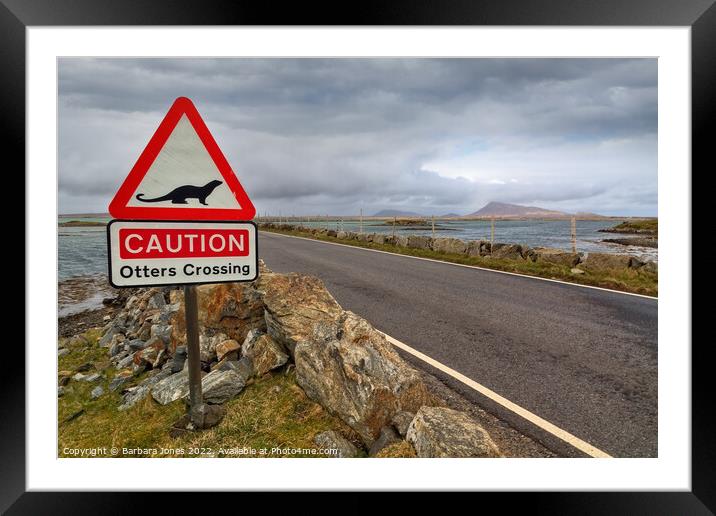 Otters Crossing,  Western Isles Scotland Framed Mounted Print by Barbara Jones