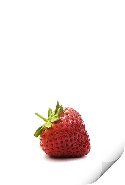 Strawberry I Print by Natalie Kinnear