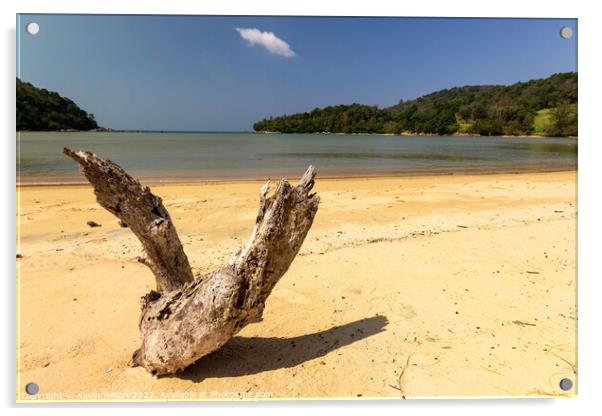Driftwood on the white sand beach at Layan, Bang Tao Bay, Phuket Acrylic by Kevin Hellon