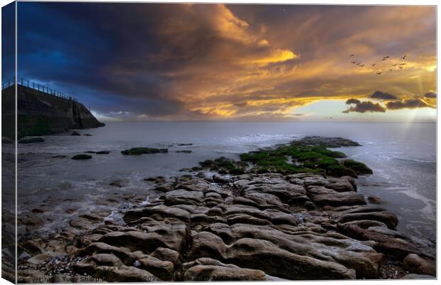 EXPOSED AT LOW TIDE - ROCKY OUTCROP AND SEA WALL: HASTINGS Canvas Print by Tony Sharp LRPS CPAGB