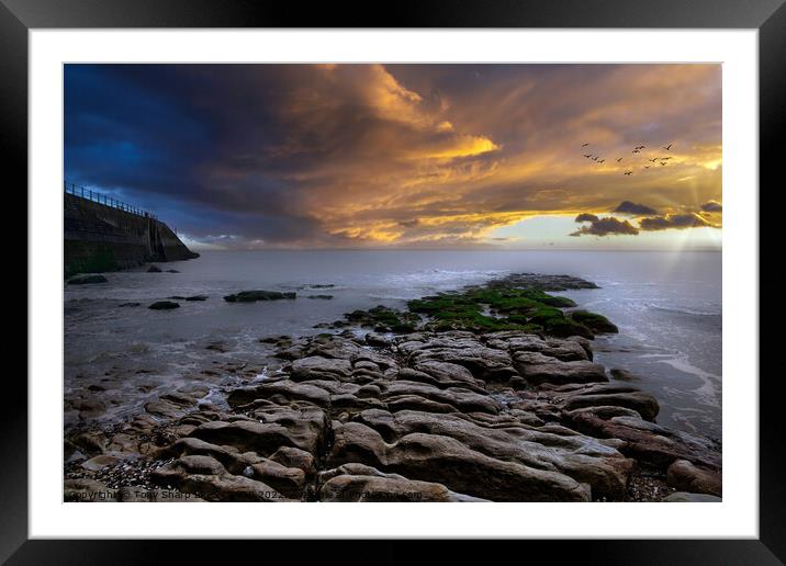 EXPOSED AT LOW TIDE - ROCKY OUTCROP AND SEA WALL: HASTINGS Framed Mounted Print by Tony Sharp LRPS CPAGB