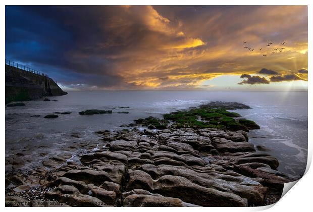 EXPOSED AT LOW TIDE - ROCKY OUTCROP AND SEA WALL: HASTINGS Print by Tony Sharp LRPS CPAGB
