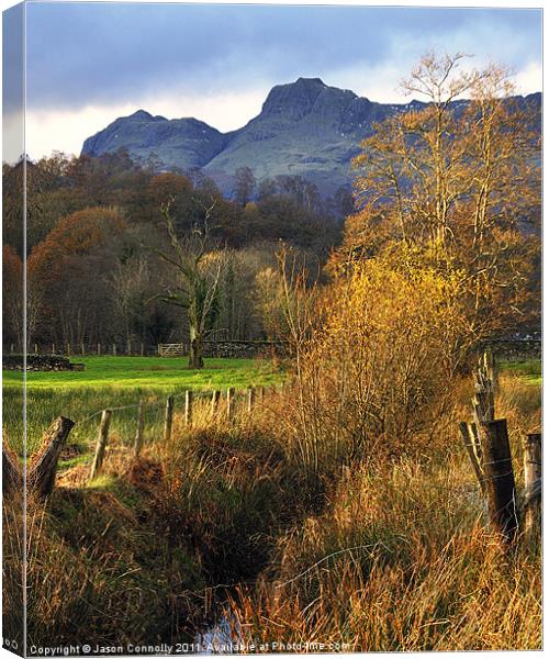 Langdale Views Canvas Print by Jason Connolly