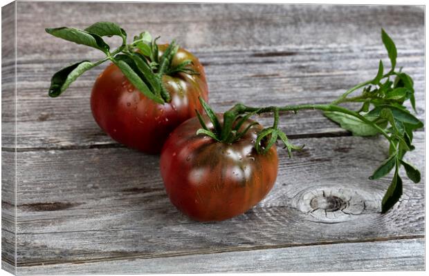 Ripe organic tomatoes on rustic wooden table in close up view   Canvas Print by Thomas Baker